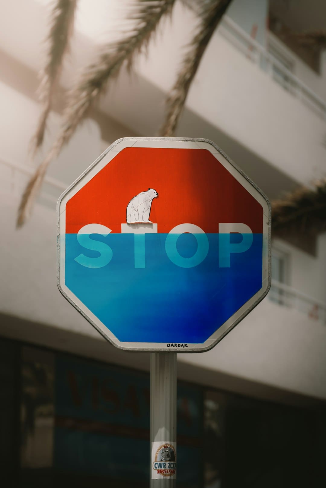 https://img3.utuku.imgcdc.com/650x0/news/20250905/0d210fad-8f2b-45dc-aee8-4ccb5d38ae74.jpg